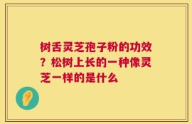 树舌灵芝孢子粉的功效？松树上长的一种像灵芝一样的是什么