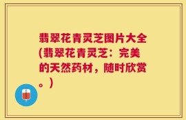 翡翠花青灵芝图片大全(翡翠花青灵芝：完美的天然药材，随时欣赏。)