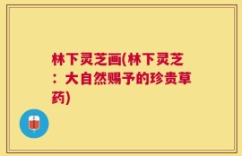 林下灵芝画(林下灵芝：大自然赐予的珍贵草药)
