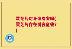 灵芝片对身体有害吗(灵芝片存在潜在危害？)