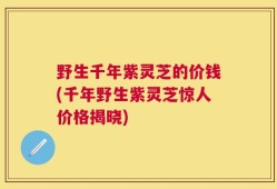 野生千年紫灵芝的价钱(千年野生紫灵芝惊人价格揭晓)