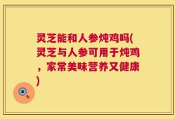 灵芝能和人参炖鸡吗(灵芝与人参可用于炖鸡，家常美味营养又健康)