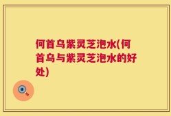 何首乌紫灵芝泡水(何首乌与紫灵芝泡水的好处)