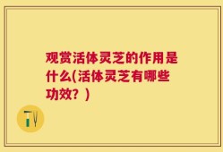 观赏活体灵芝的作用是什么(活体灵芝有哪些功效？)