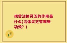 观赏活体灵芝的作用是什么(活体灵芝有哪些功效？)