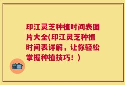 印江灵芝种植时间表图片大全(印江灵芝种植时间表详解，让你轻松掌握种植技巧！)