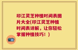 印江灵芝种植时间表图片大全(印江灵芝种植时间表详解，让你轻松掌握种植技巧！)