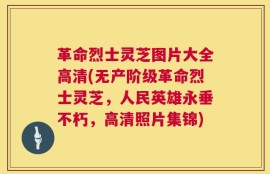 革命烈士灵芝图片大全高清(无产阶级革命烈士灵芝，人民英雄永垂不朽，高清照片集锦)