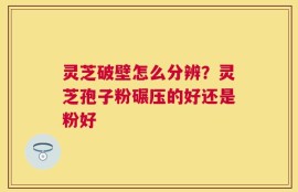 灵芝破壁怎么分辨？灵芝孢子粉碾压的好还是粉好