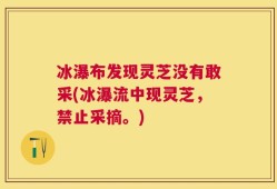 冰瀑布发现灵芝没有敢采(冰瀑流中现灵芝，禁止采摘。)