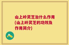 山上岭灵芝治什么作用(山上岭灵芝的功效及作用简介)