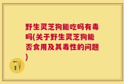 野生灵芝狗能吃吗有毒吗(关于野生灵芝狗能否食用及其毒性的问题)
