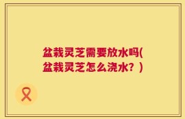 盆栽灵芝需要放水吗(盆栽灵芝怎么浇水？)