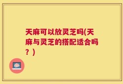 天麻可以放灵芝吗(天麻与灵芝的搭配适合吗？)