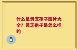 什么是灵芝孢子图片大全？灵芝孢子是怎么样的
