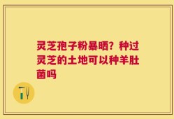 灵芝孢子粉暴晒？种过灵芝的土地可以种羊肚菌吗
