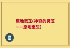 原地灵芝(神奇的灵芝——原地重生)