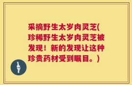 采摘野生太岁肉灵芝(珍稀野生太岁肉灵芝被发现！新的发现让这种珍贵药材受到瞩目。)