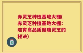 赤灵芝种植基地大棚(赤灵芝种植基地大棚：培育高品质健康灵芝的秘诀)