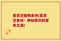紫灵芝植物素材(紫灵芝素材：神秘草药的营养之源)