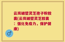 云岚破壁灵芝孢子粉胶囊(云岚破壁灵芝胶囊：强化免疫力，保护健康)