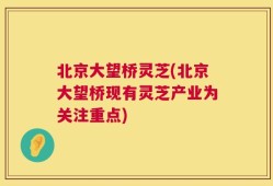 北京大望桥灵芝(北京大望桥现有灵芝产业为关注重点)