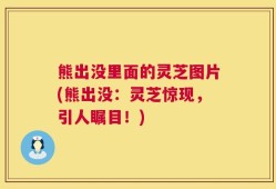 熊出没里面的灵芝图片(熊出没：灵芝惊现，引人瞩目！)