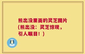 熊出没里面的灵芝图片(熊出没：灵芝惊现，引人瞩目！)