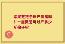 紫灵芝孢子粉产量高吗？一亩灵芝可以产多少斤孢子粉