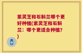 紫灵芝和石斛兰哪个更好种植(紫灵芝和石斛兰：哪个更适合种植？)
