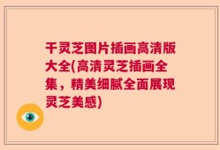 干灵芝图片插画高清版大全(高清灵芝插画全集，精美细腻全面展现灵芝美感)