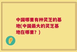中国哪里有种灵芝的基地(中国最大的灵芝基地在哪里？)