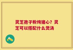 灵芝孢子粉炖猪心？灵芝可以搭配什么煲汤