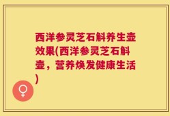 西洋参灵芝石斛养生壶效果(西洋参灵芝石斛壶，营养焕发健康生活)