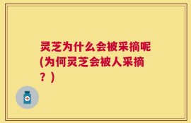灵芝为什么会被采摘呢(为何灵芝会被人采摘？)