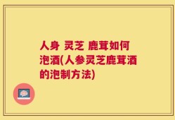 人身 灵芝 鹿茸如何泡酒(人参灵芝鹿茸酒的泡制方法)