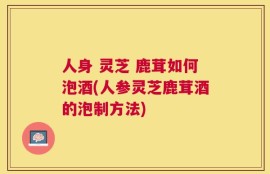 人身 灵芝 鹿茸如何泡酒(人参灵芝鹿茸酒的泡制方法)
