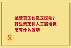 破壁灵芝和灵芝区别？野生灵芝和人工栽培灵芝有什么区别