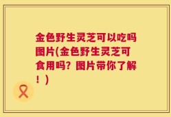 金色野生灵芝可以吃吗图片(金色野生灵芝可食用吗？图片带你了解！)