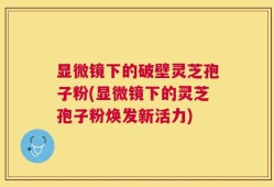 显微镜下的破壁灵芝孢子粉(显微镜下的灵芝孢子粉焕发新活力)