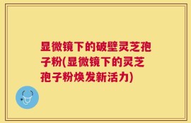 显微镜下的破壁灵芝孢子粉(显微镜下的灵芝孢子粉焕发新活力)