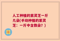 人工种植的紫灵芝一斤几朵(手动种植的紫灵芝：一斤中含数朵？)