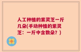 人工种植的紫灵芝一斤几朵(手动种植的紫灵芝：一斤中含数朵？)