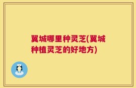 翼城哪里种灵芝(翼城种植灵芝的好地方)