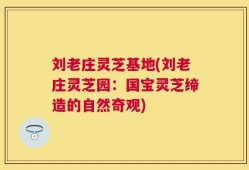 刘老庄灵芝基地(刘老庄灵芝园：国宝灵芝缔造的自然奇观)