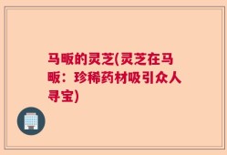 马畈的灵芝(灵芝在马畈：珍稀药材吸引众人寻宝)