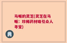 马畈的灵芝(灵芝在马畈：珍稀药材吸引众人寻宝)