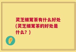 灵芝细茸茶有什么好处(灵芝细茸茶的好处是什么？)