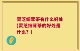灵芝细茸茶有什么好处(灵芝细茸茶的好处是什么？)