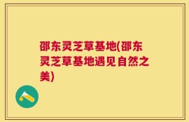 邵东灵芝草基地(邵东灵芝草基地遇见自然之美)